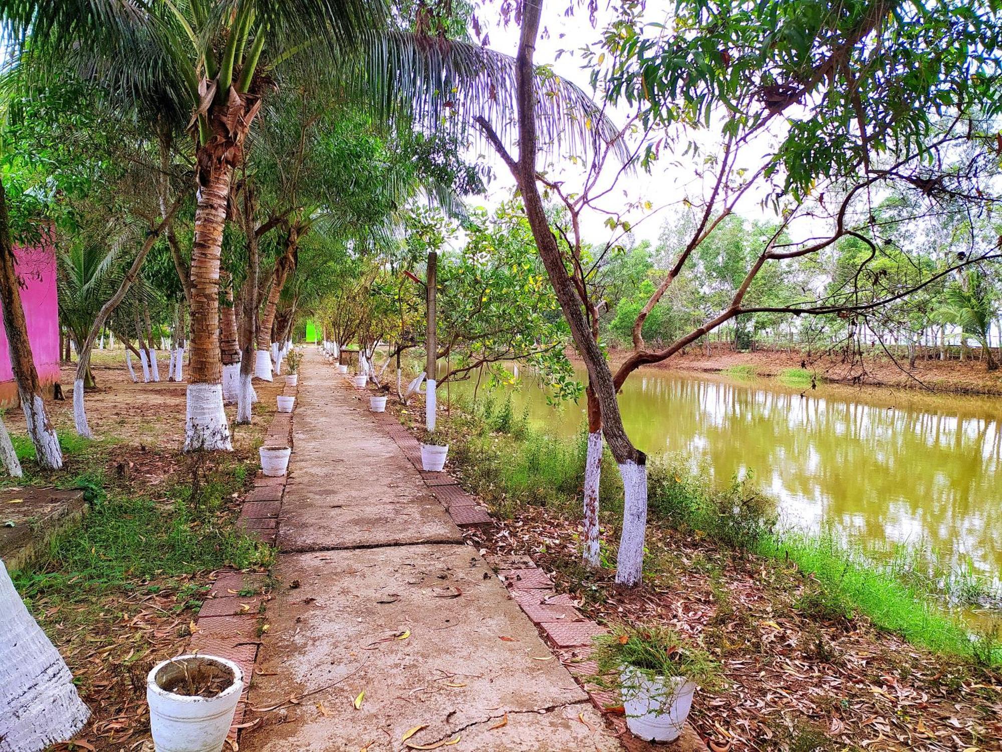 Estuarine Village Resort Satabhaya Exterior photo